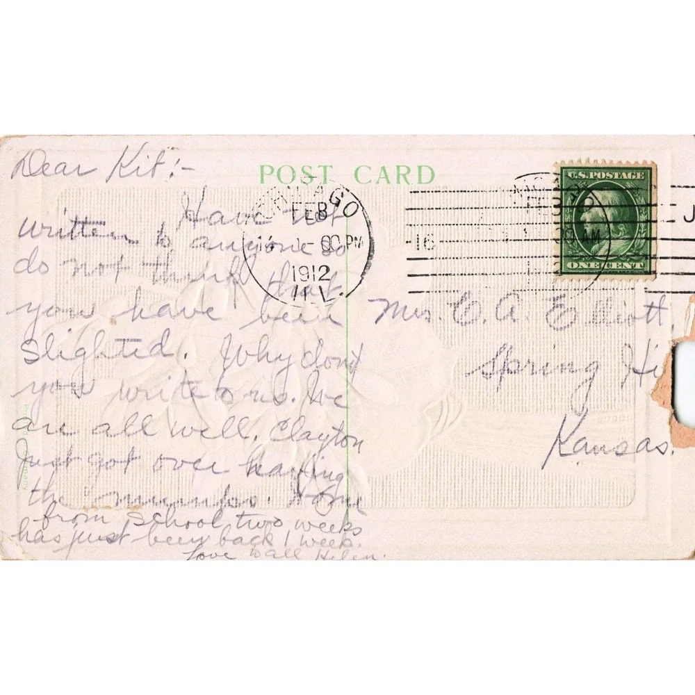 Antique 1912 Embossed Valentine Postcard Snowdrops Flowers Gold Chicago Postmark
